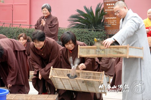 _峨眉易禅月卡多少钱_峨眉易禅健身拉丁舞