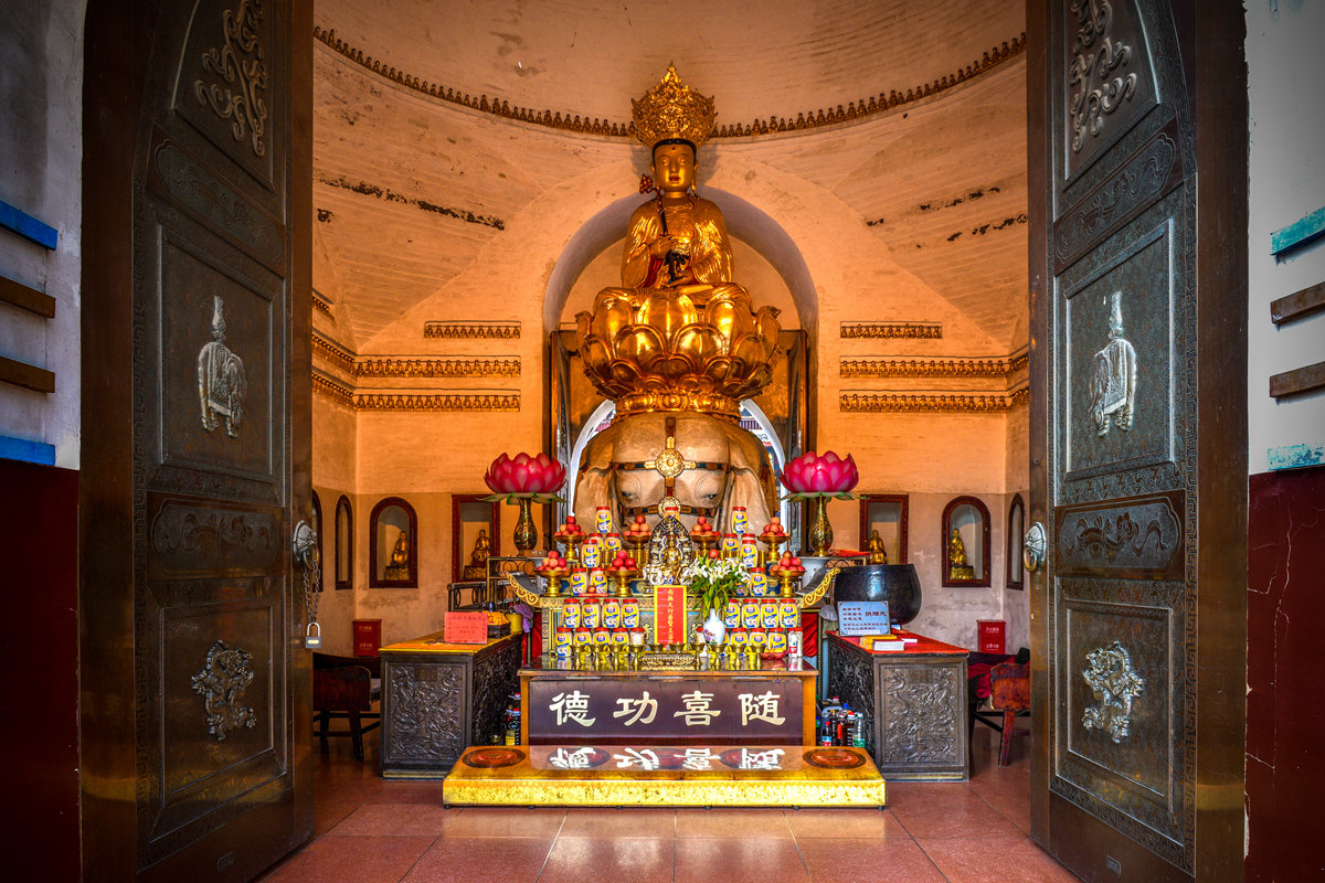 20250922115141909990.jpg MY0_6785.JPG